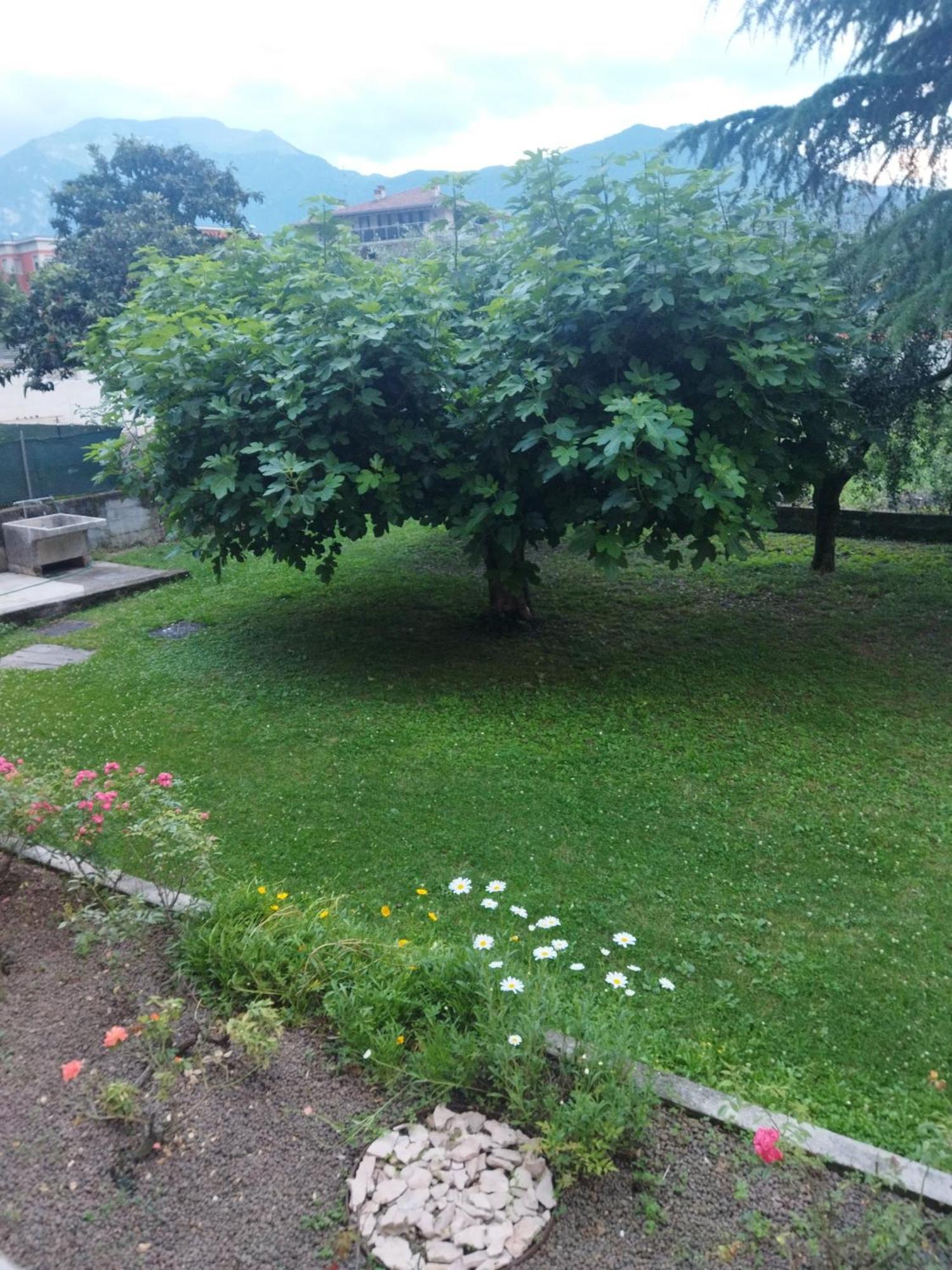 Rose Garden House Wi-Fi Apartment Рива дел Гарда Екстериор снимка